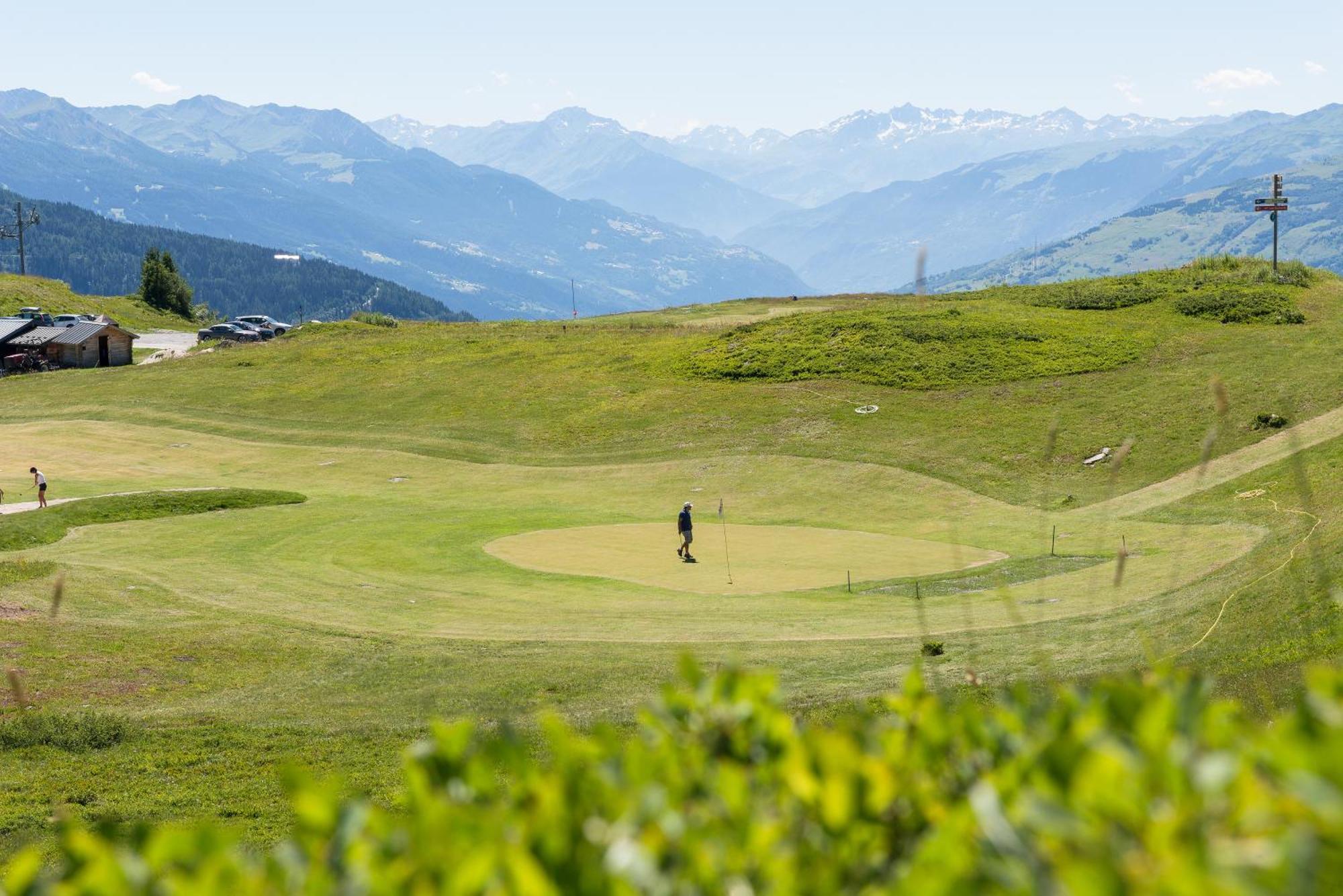 Mgm Hotels & Residences - Hotel Alpen Lodge Ла-Розьер Экстерьер фото